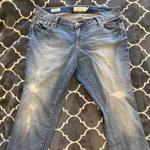 Torrid jeans